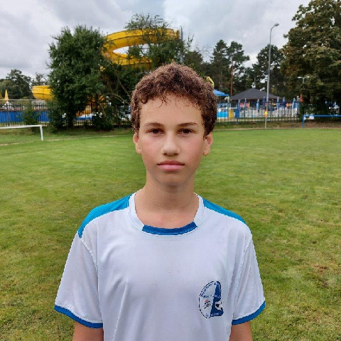 Havlík