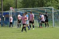 zidneves 29